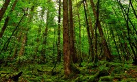 世界杯后城市青训场地维护资金筹措案例
