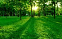 世界网球场馆现代化改造：提升观赛体验与功能性，网球场馆高度要多少