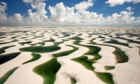 2026年世界定向越野锦标赛 北欧选手再展地图王者实力，世界大师定向越野锦标赛