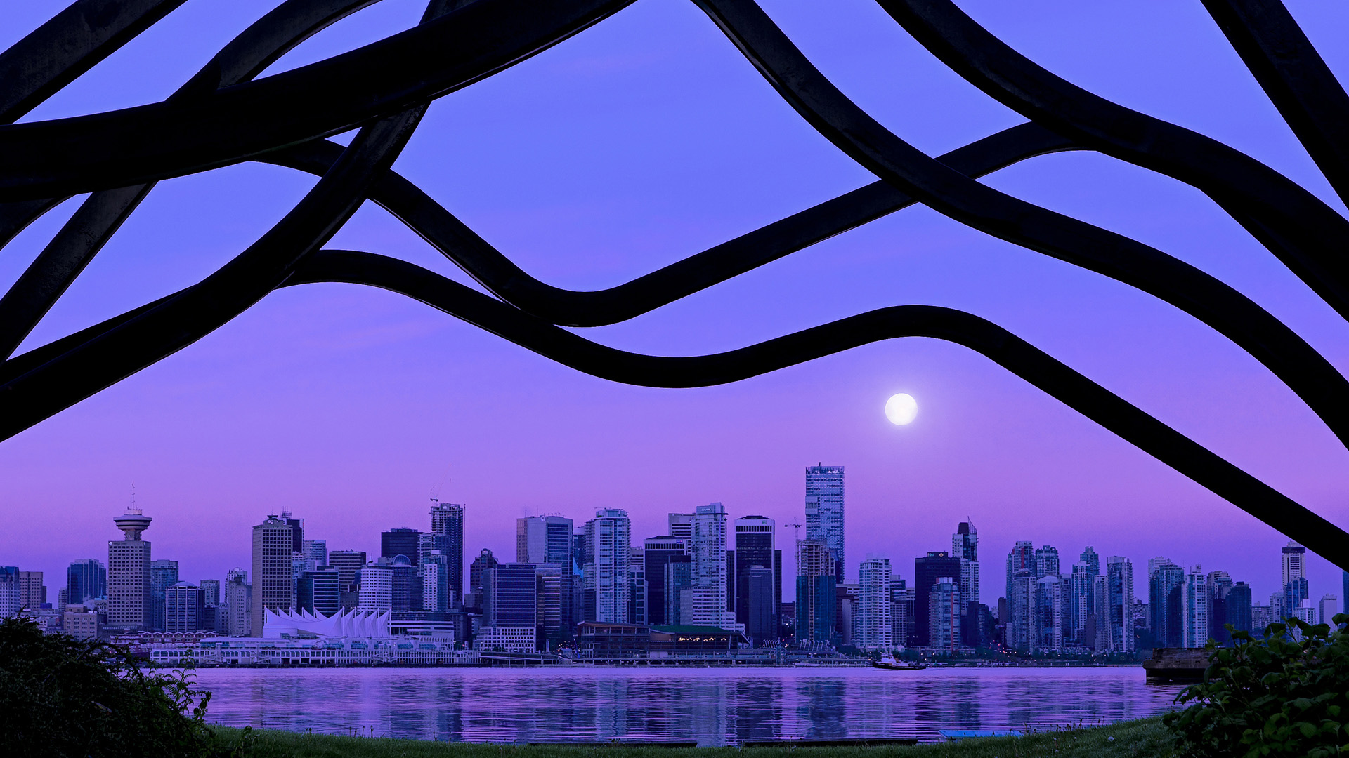 世界板球女子赛事发展潜力与市场分析，板球运动员virat kohli