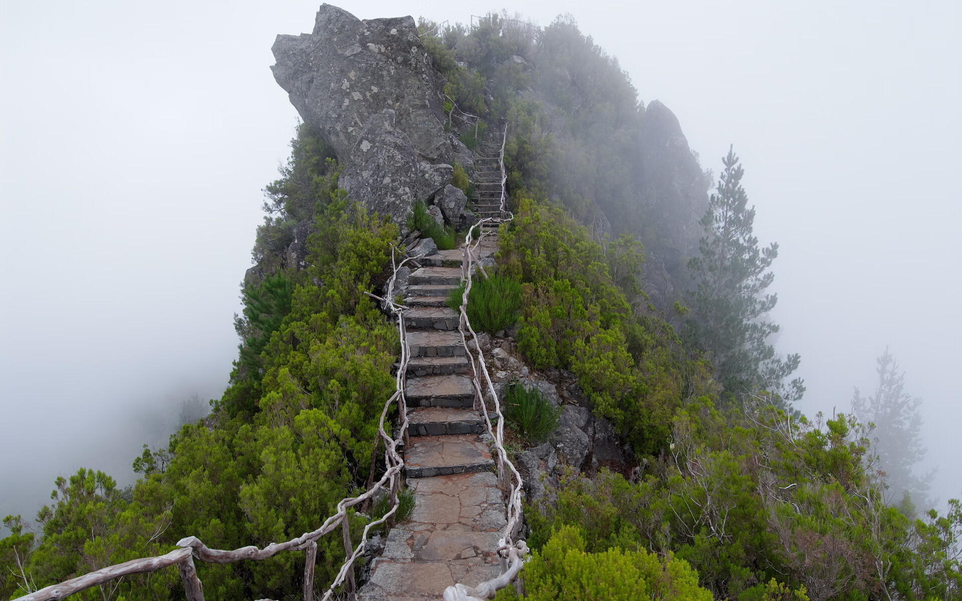 世界短道速滑教练员资格升级：更严格标准促进行业发展，短道速滑主教练